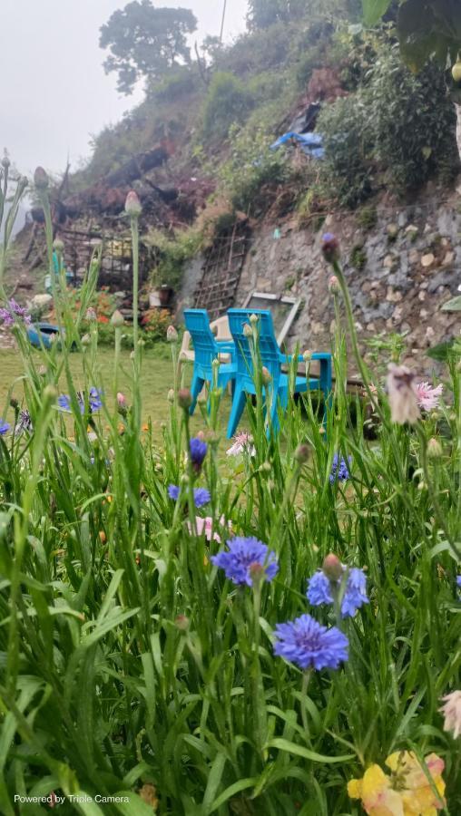 Mohraj Home Stay Bhowali Екстериор снимка