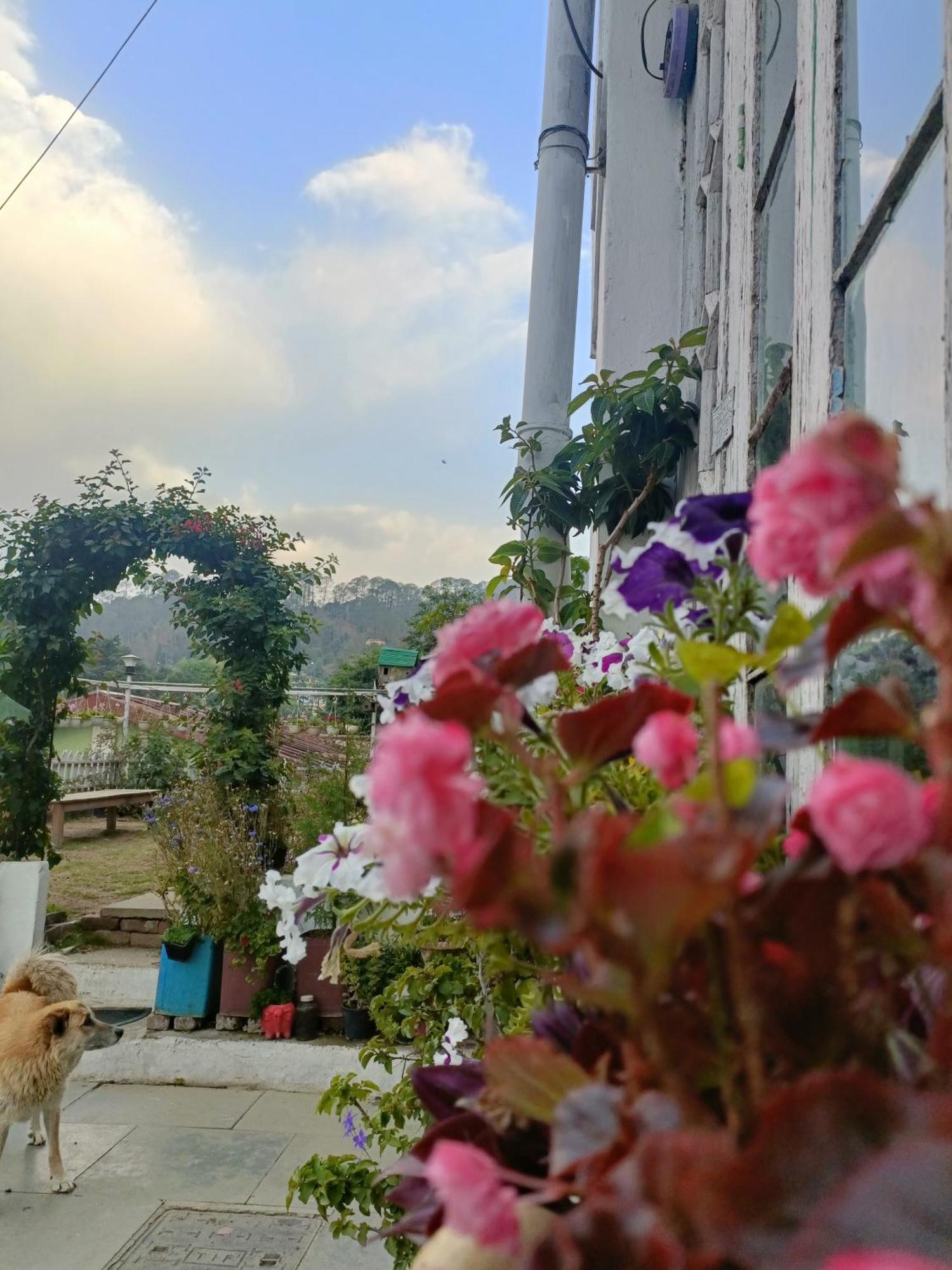 Mohraj Home Stay Bhowali Екстериор снимка
